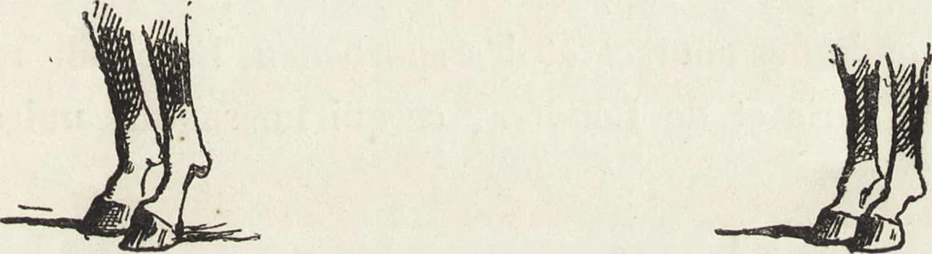 An illustration from La vie hors de chez soi (comédie de notre temps) l'hiver, le printemps, l'été, l'automne; études au crayon et à la plume, 1876, leaf 356