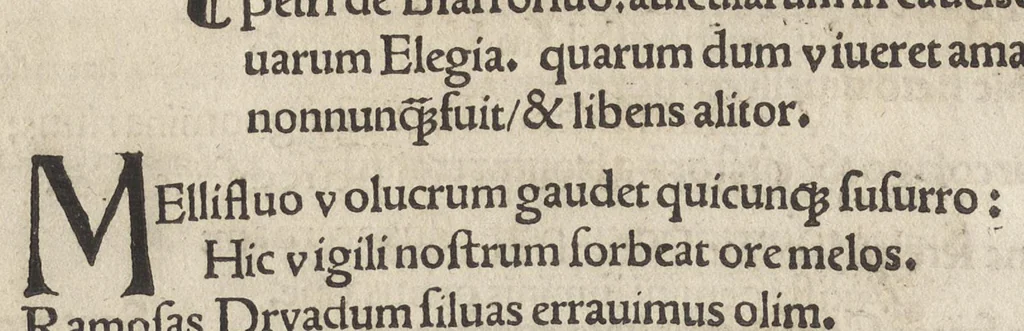 An illustration from Nanceidos : opus de bello Nanceiano, hac primum exaratvra elimatissime nvperrime in lvcem emissvm, 1518, leaf 267
