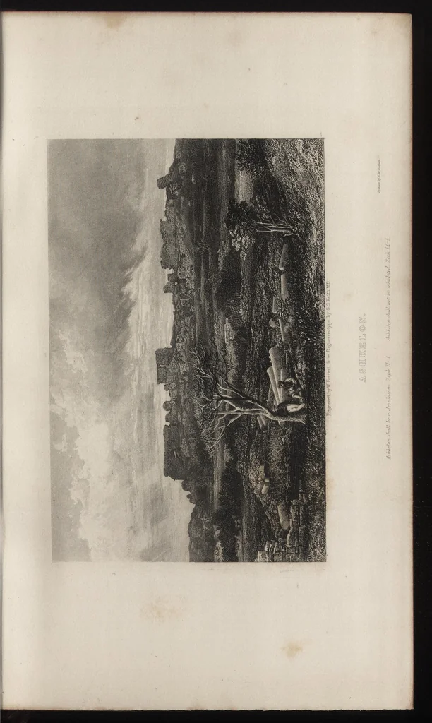 An illustration from Evidence of the truth of the Christian religion : derived from the literal fulfilment of prophecy : particularly as illustrated by the history of the Jews, and by the discoveries of recent travellers, 1848, leaf 430