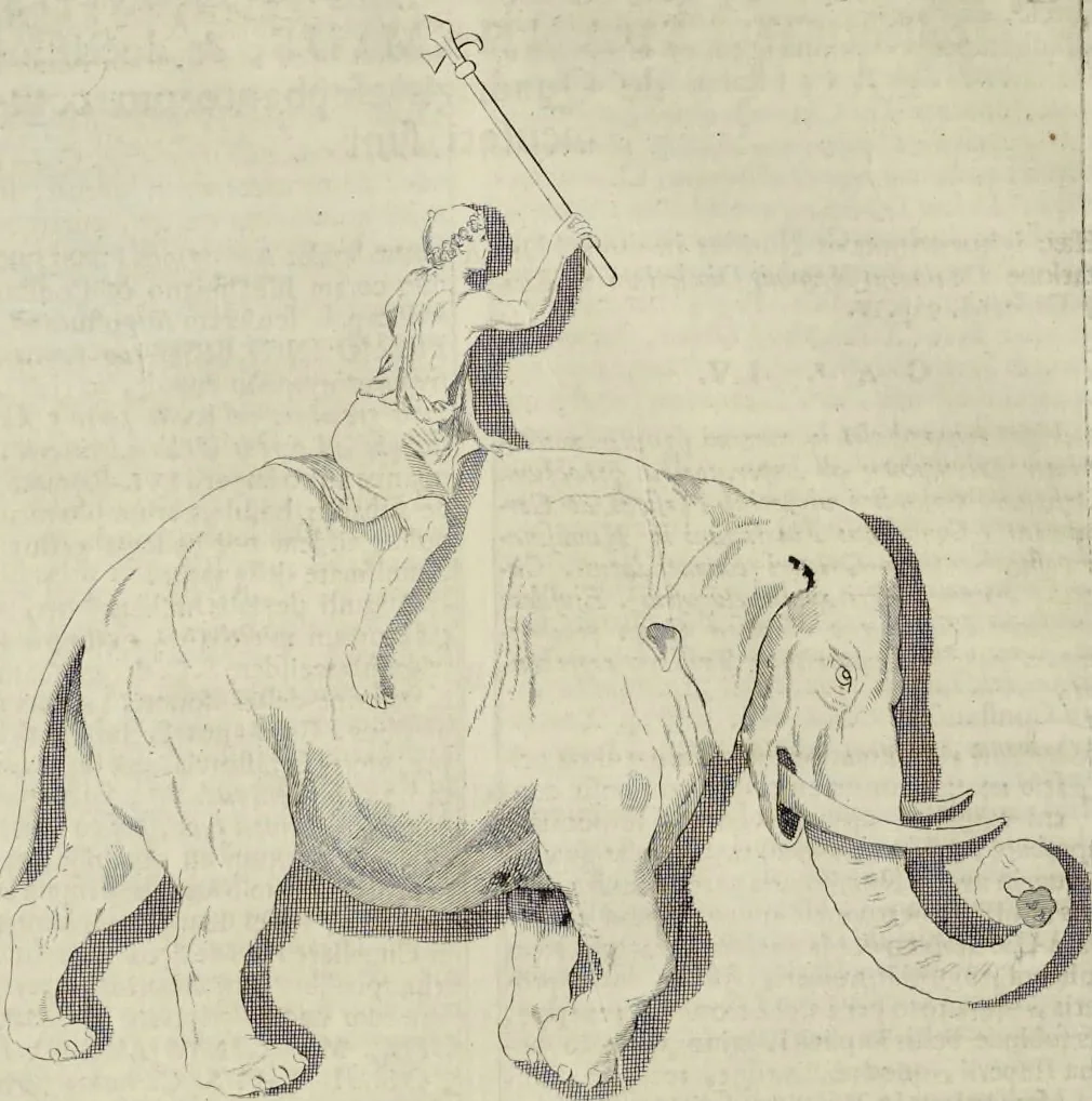 An illustration from Novus thesaurus antiquitatum romanarum, 1735, leaf 155