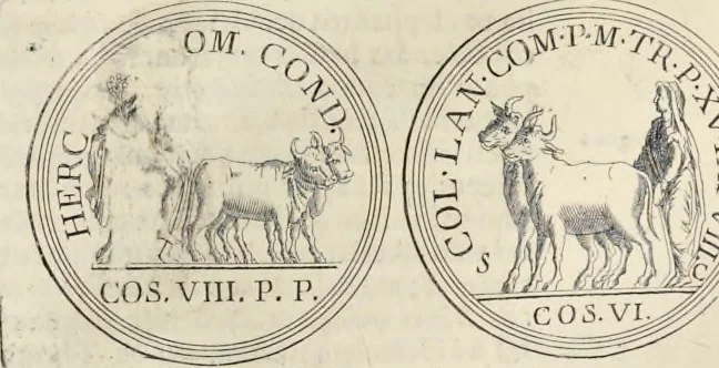 An illustration from Novus thesaurus antiquitatum romanarum, 1735, leaf 206
