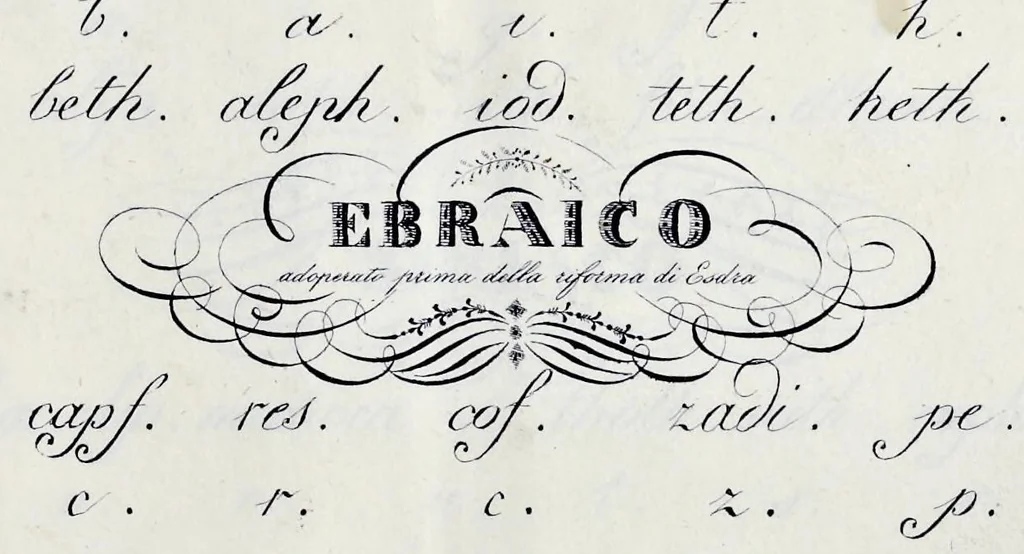 An illustration from Caratteri stranieri : raccolti, scritti ed incisi, 1836, leaf 16
