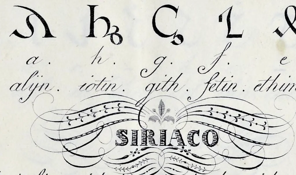 An illustration from Caratteri stranieri : raccolti, scritti ed incisi, 1836, leaf 18