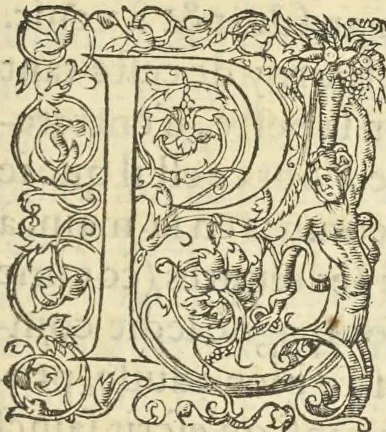 An illustration from Le premier tome de l'architectvre de Philibert de l'Orme .., 1568, leaf 116