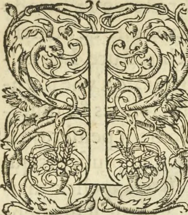 An illustration from Le premier tome de l'architectvre de Philibert de l'Orme .., 1568, leaf 24