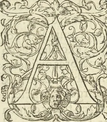 An illustration from Le premier tome de l'architectvre de Philibert de l'Orme .., 1568, leaf 278
