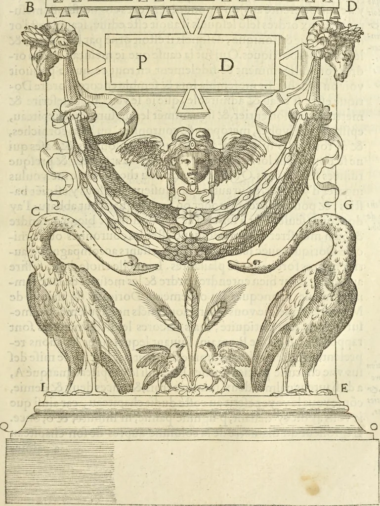 An illustration from Le premier tome de l'architectvre de Philibert de l'Orme .., 1568, leaf 314
