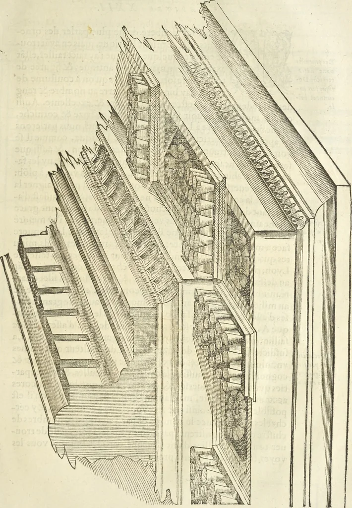 An illustration from Le premier tome de l'architectvre de Philibert de l'Orme .., 1568, leaf 326