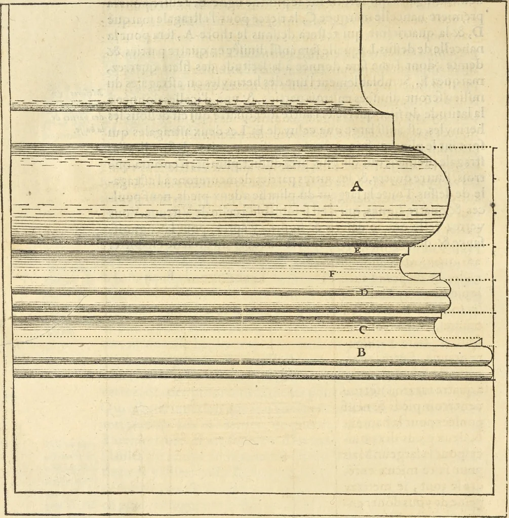 An illustration from Le premier tome de l'architectvre de Philibert de l'Orme .., 1568, leaf 335