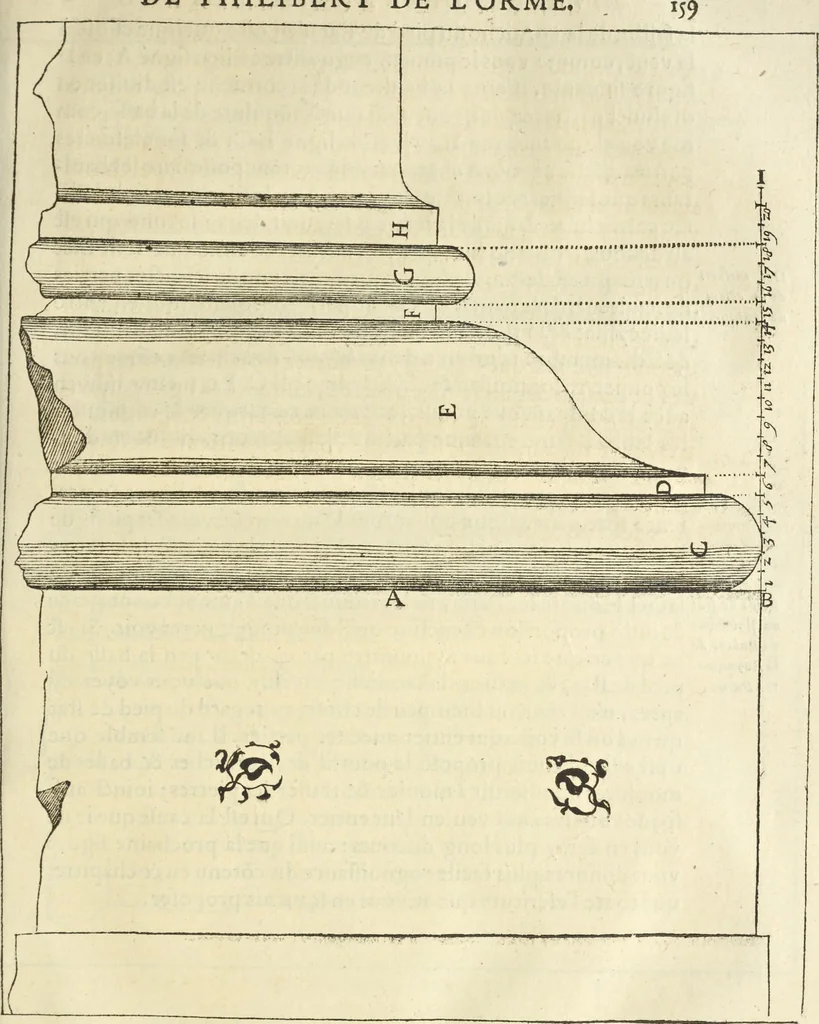 An illustration from Le premier tome de l'architectvre de Philibert de l'Orme .., 1568, leaf 338