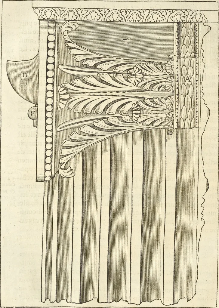An illustration from Le premier tome de l'architectvre de Philibert de l'Orme .., 1568, leaf 351
