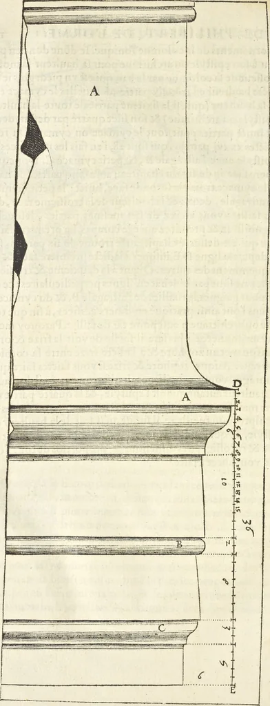 An illustration from Le premier tome de l'architectvre de Philibert de l'Orme .., 1568, leaf 355