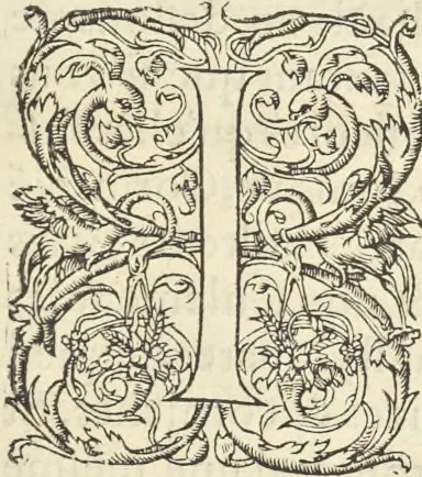 An illustration from Le premier tome de l'architectvre de Philibert de l'Orme .., 1568, leaf 366