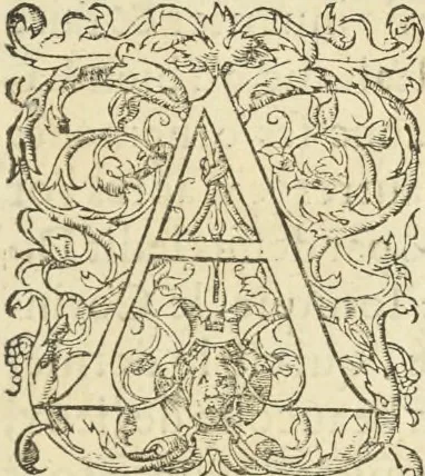 An illustration from Le premier tome de l'architectvre de Philibert de l'Orme .., 1568, leaf 422