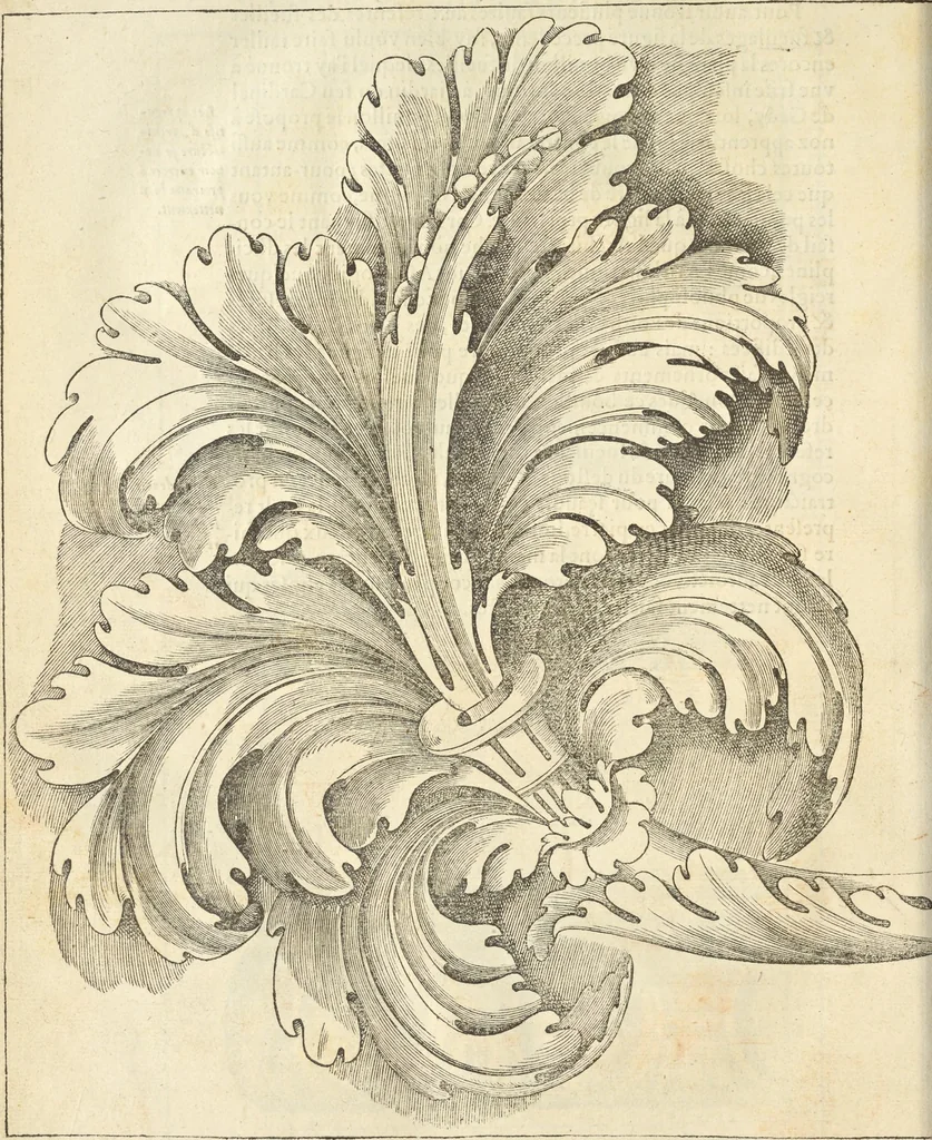 An illustration from Le premier tome de l'architectvre de Philibert de l'Orme .., 1568, leaf 447