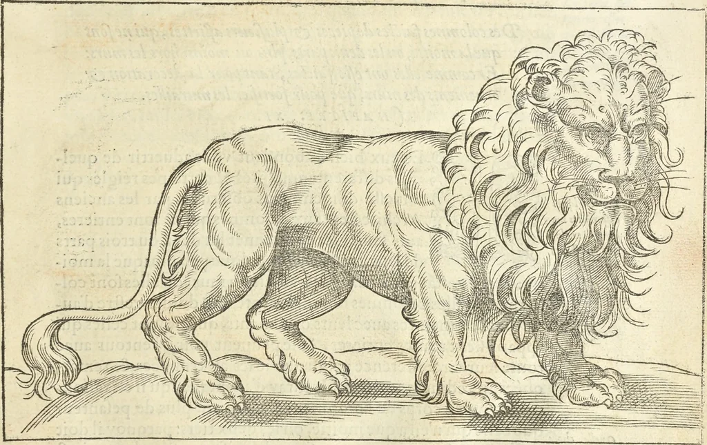 An illustration from Le premier tome de l'architectvre de Philibert de l'Orme .., 1568, leaf 448