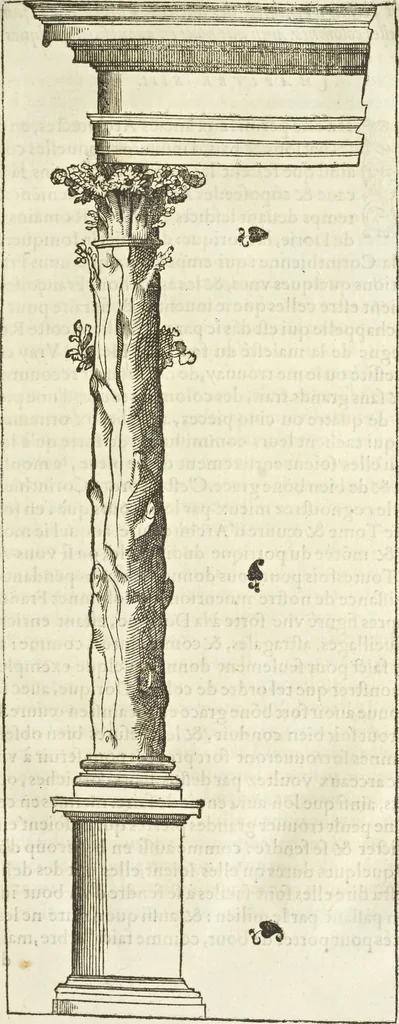 An illustration from Le premier tome de l'architectvre de Philibert de l'Orme .., 1568, leaf 454