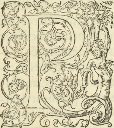 An illustration from Le premier tome de l'architectvre de Philibert de l'Orme .., 1568, leaf 480