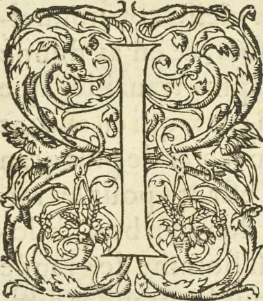 An illustration from Le premier tome de l'architectvre de Philibert de l'Orme .., 1568, leaf 536