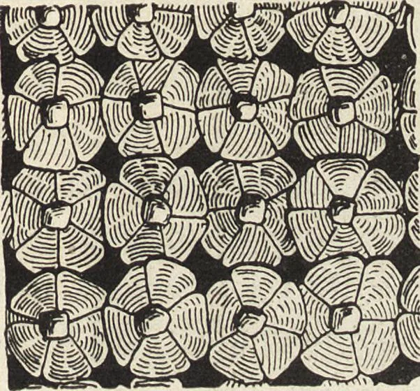 An illustration from Amtshauptmannschaft Oschatz, 1905, leaf 50