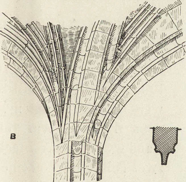 An illustration from Amtshauptmannschaft Oschatz, 1905, leaf 62