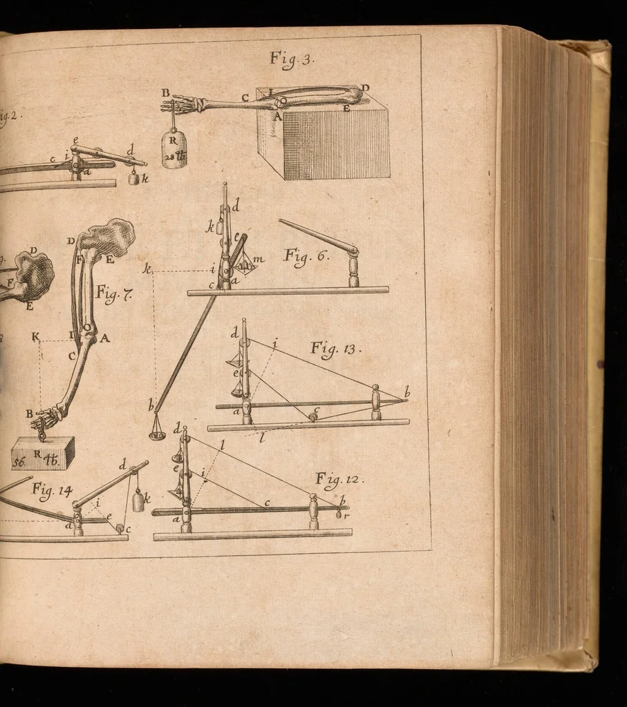 An illustration from Miscellanea curiosa, sive, Ephemeridum medico-physicarum Germanicarum, 1677, leaf 1262