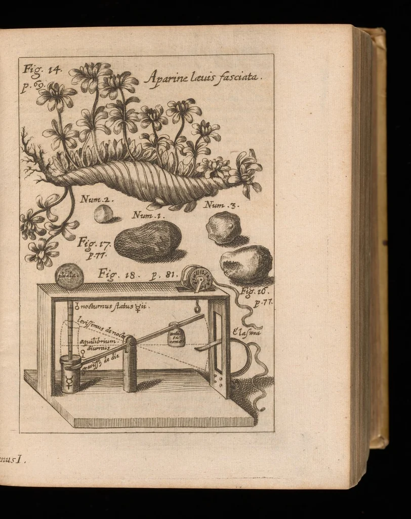 An illustration from Miscellanea curiosa, sive, Ephemeridum medico-physicarum Germanicarum, 1677, leaf 150