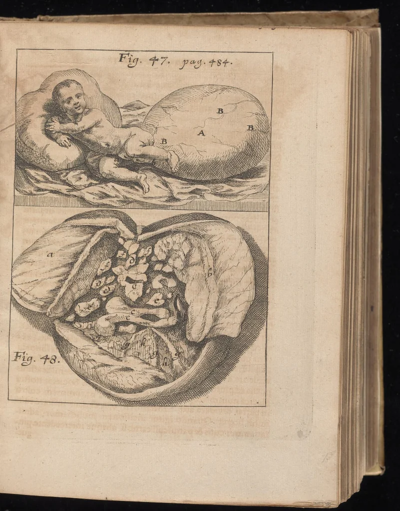 An illustration from Miscellanea curiosa, sive, Ephemeridum medico-physicarum Germanicarum, 1677, leaf 552