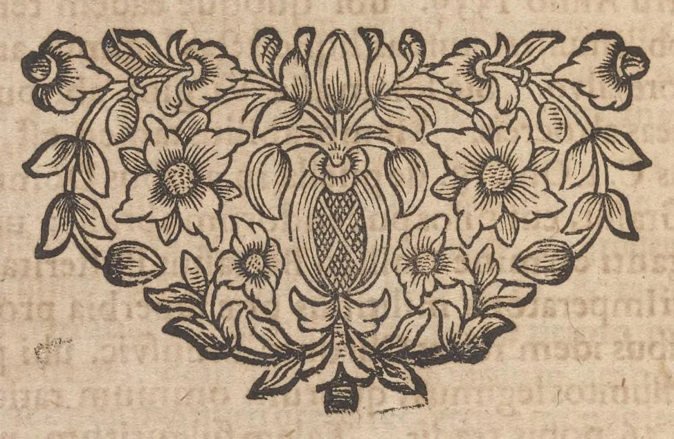 An illustration from Miscellanea curiosa, sive, Ephemeridum medico-physicarum Germanicarum, 1677, leaf 657