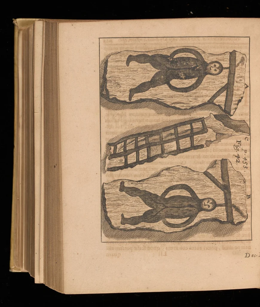 An illustration from Miscellanea curiosa, sive, Ephemeridum medico-physicarum Germanicarum, 1677, leaf 1767