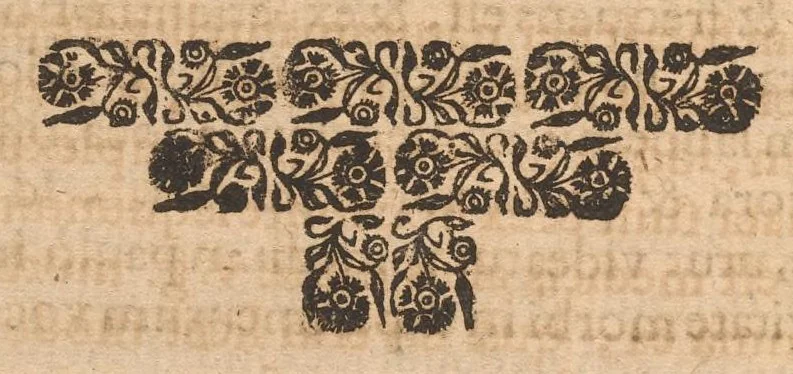 An illustration from Miscellanea curiosa, sive, Ephemeridum medico-physicarum Germanicarum, 1677, leaf 519
