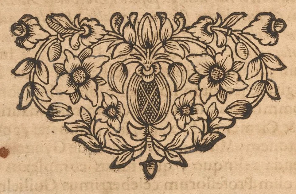 An illustration from Miscellanea curiosa, sive, Ephemeridum medico-physicarum Germanicarum, 1677, leaf 797