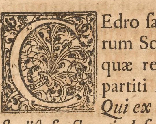 An illustration from Miscellanea curiosa, sive, Ephemeridum medico-physicarum Germanicarum, 1677, leaf 858