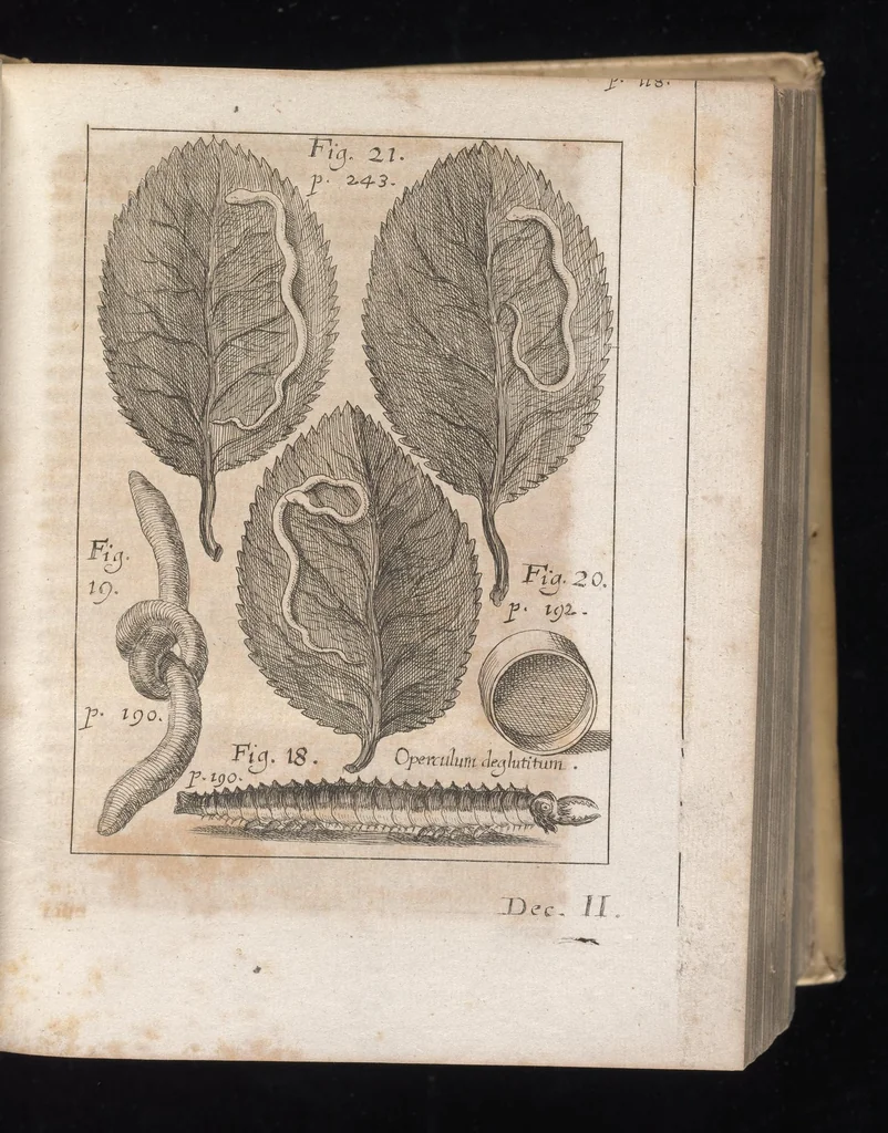 An illustration from Miscellanea curiosa, sive, Ephemeridum medico-physicarum Germanicarum, 1677, leaf 174