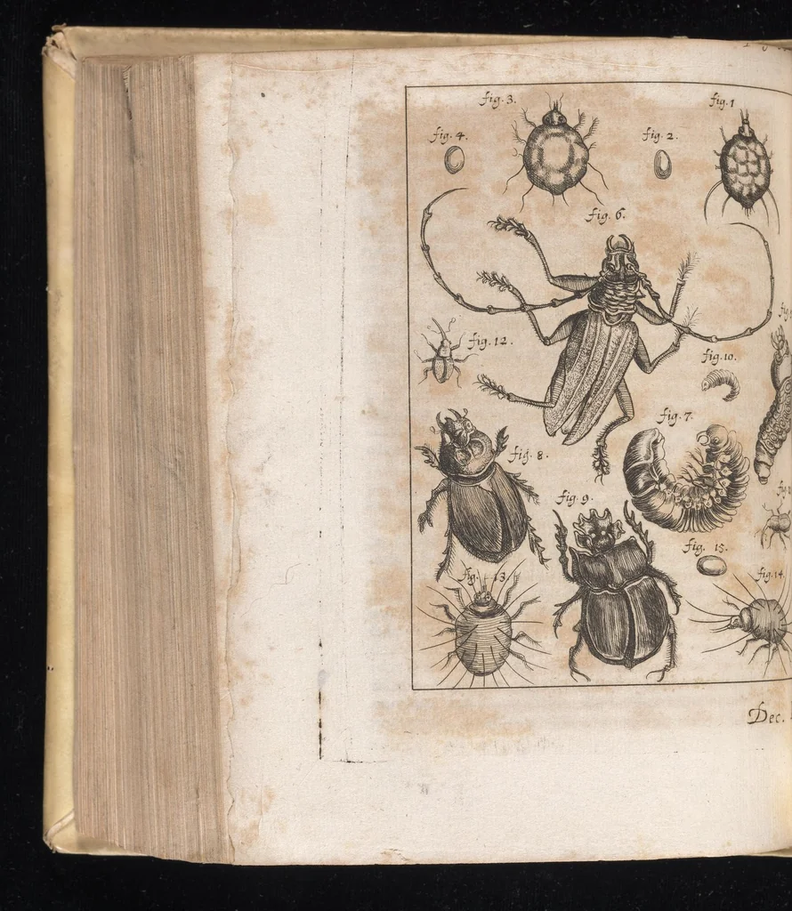 An illustration from Miscellanea curiosa, sive, Ephemeridum medico-physicarum Germanicarum, 1677, leaf 527