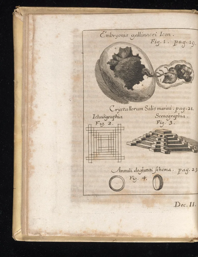 An illustration from Miscellanea curiosa, sive, Ephemeridum medico-physicarum Germanicarum, 1677, leaf 59