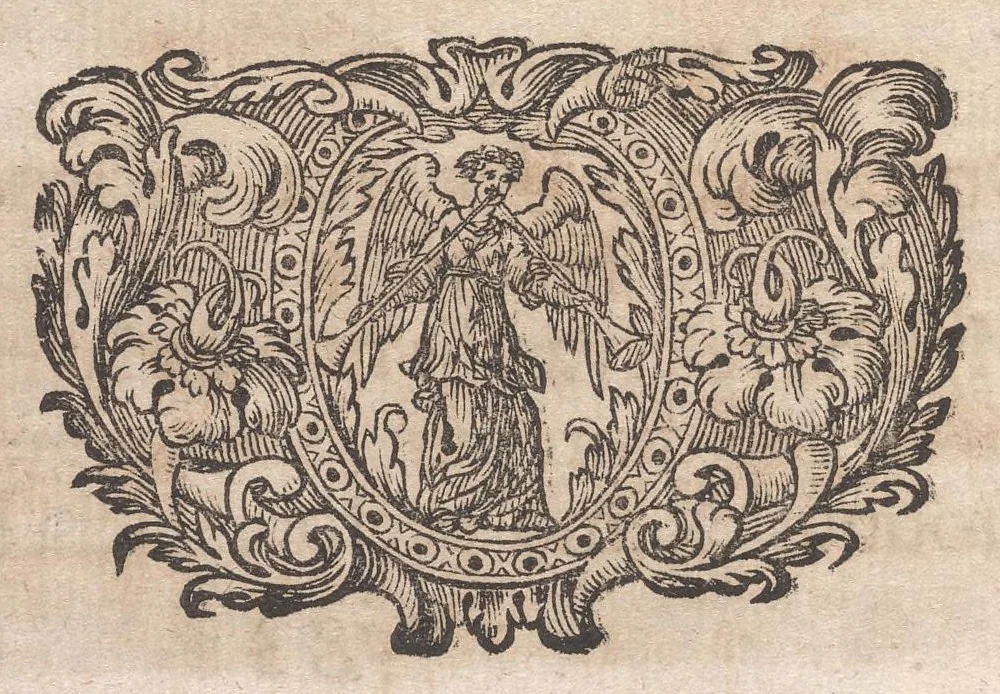 An illustration from Miscellanea curiosa, sive, Ephemeridum medico-physicarum Germanicarum, 1677, leaf 747