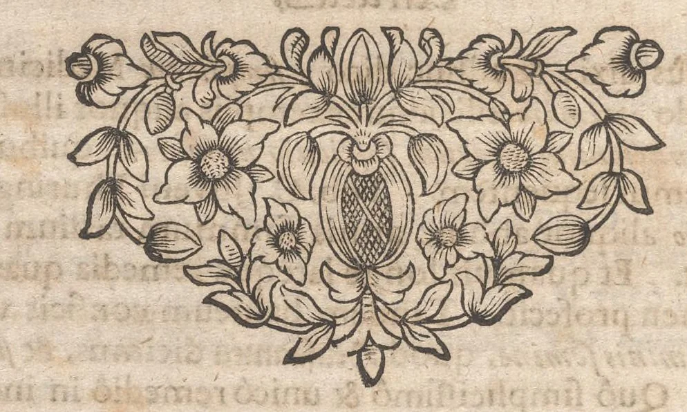 An illustration from Miscellanea curiosa, sive, Ephemeridum medico-physicarum Germanicarum, 1677, leaf 853