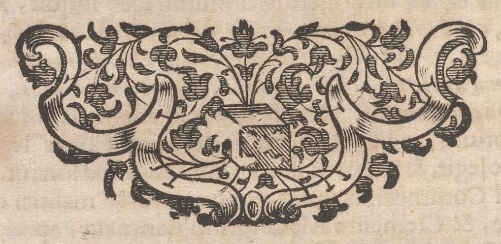 An illustration from Miscellanea curiosa, sive, Ephemeridum medico-physicarum Germanicarum, 1677, leaf 895