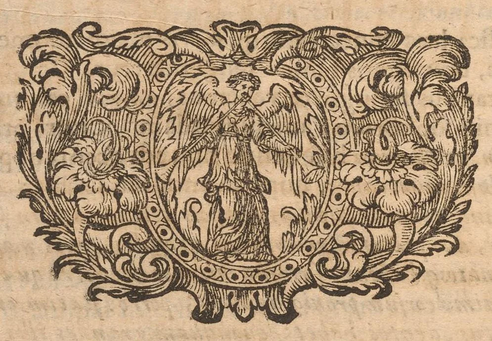An illustration from Miscellanea curiosa, sive, Ephemeridum medico-physicarum Germanicarum, 1677, leaf 1241