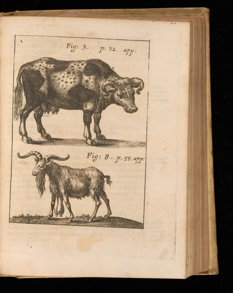An illustration from Miscellanea curiosa, sive, Ephemeridum medico-physicarum Germanicarum, 1677, leaf 1278