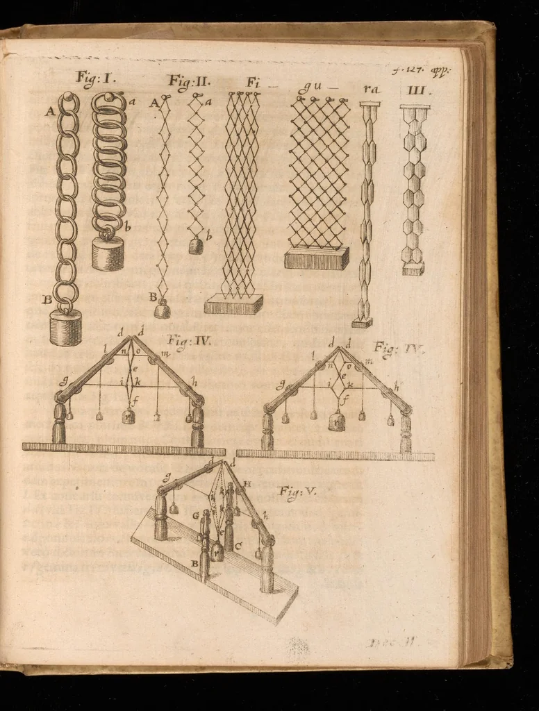 An illustration from Miscellanea curiosa, sive, Ephemeridum medico-physicarum Germanicarum, 1677, leaf 1378