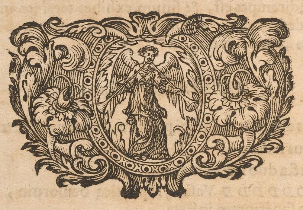 An illustration from Miscellanea curiosa, sive, Ephemeridum medico-physicarum Germanicarum, 1677, leaf 1401