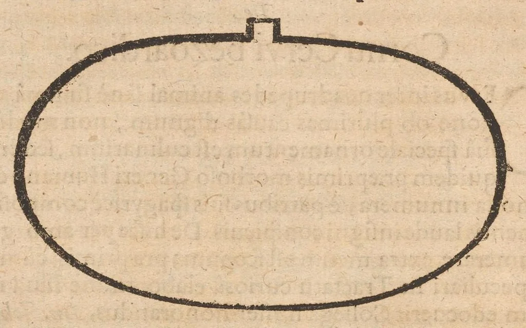 An illustration from Miscellanea curiosa, sive, Ephemeridum medico-physicarum Germanicarum, 1677, leaf 319