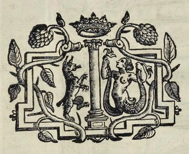 An illustration from Roma svbterranea novissima : in qva post Antonivm Bosivm antesignanvm, Io. Severanvm congreg. oratorii presbytervm, et celebres alios scriptores : antiqva Christianorvm et praecipue martyrun cœmeteria, titvli, monimenta, epitaphia, inscriptiones ac nobiliora sanctorvm sepvlchra, sex libris distincta illustrantvr et qvamplvrimae res ecclesiasticae iconibvs graphice describuntur, ac multiplici tum sacra, tum profana eruditione declarantur : cum duplici indice, capitum & rerum locupletissimo : opera et stvdio, 1651, leaf 309