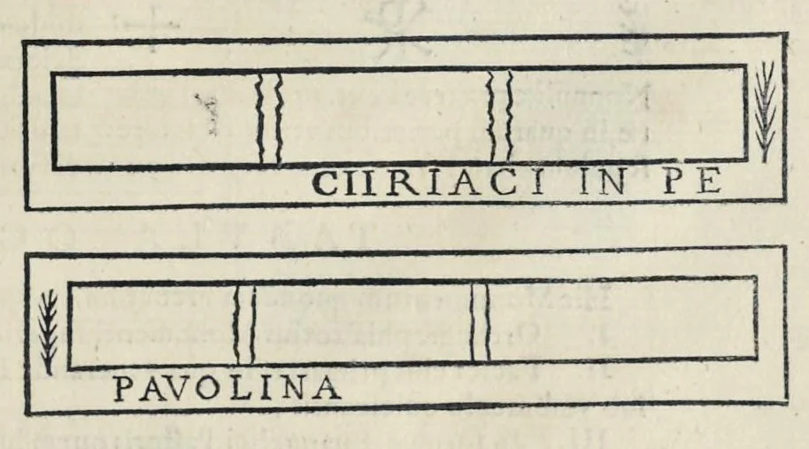 An illustration from Roma svbterranea novissima : in qva post Antonivm Bosivm antesignanvm, Io. Severanvm congreg. oratorii presbytervm, et celebres alios scriptores : antiqva Christianorvm et praecipue martyrun cœmeteria, titvli, monimenta, epitaphia, inscriptiones ac nobiliora sanctorvm sepvlchra, sex libris distincta illustrantvr et qvamplvrimae res ecclesiasticae iconibvs graphice describuntur, ac multiplici tum sacra, tum profana eruditione declarantur : cum duplici indice, capitum & rerum locupletissimo : opera et stvdio, 1651, leaf 610