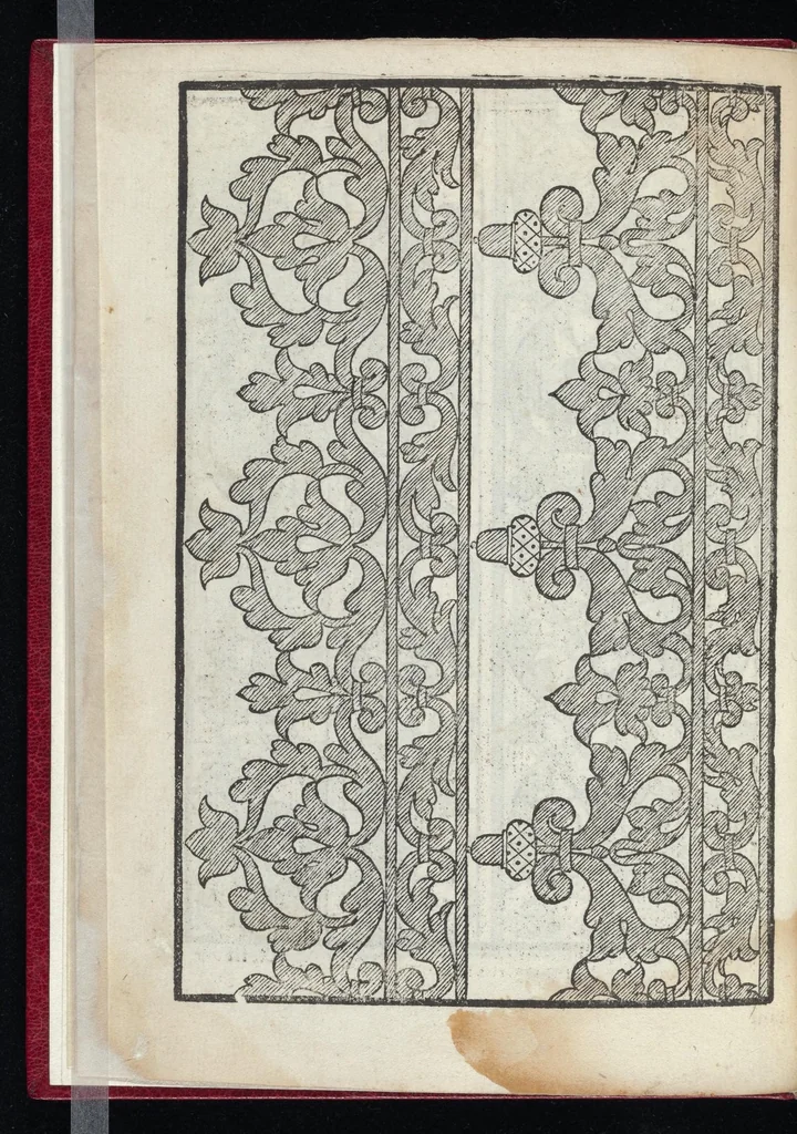 An illustration from Lvcidario di recami : nel qval si contengo molte & varie sorti di dissegni : a pvnti in aere, et pvnti tagliaci & a fogliami & con figure, & di piu altre maniere, come al presente si vsano non piu venute in luce : per leqvli ogni elevato ingegno potrà in diuersi modi commodissimamamente seruirsi, 1563, leaf 11