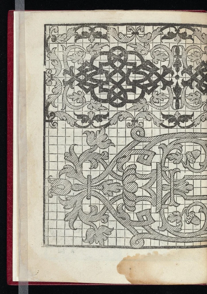 An illustration from Lvcidario di recami : nel qval si contengo molte & varie sorti di dissegni : a pvnti in aere, et pvnti tagliaci & a fogliami & con figure, & di piu altre maniere, come al presente si vsano non piu venute in luce : per leqvli ogni elevato ingegno potrà in diuersi modi commodissimamamente seruirsi, 1563, leaf 13