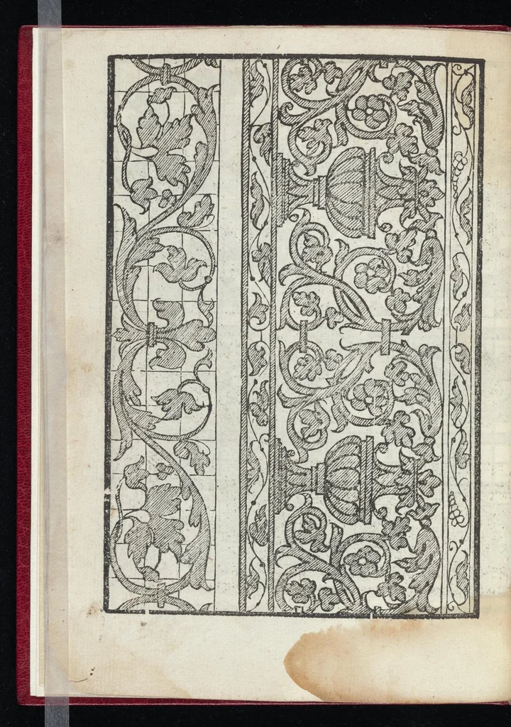 An illustration from Lvcidario di recami : nel qval si contengo molte & varie sorti di dissegni : a pvnti in aere, et pvnti tagliaci & a fogliami & con figure, & di piu altre maniere, come al presente si vsano non piu venute in luce : per leqvli ogni elevato ingegno potrà in diuersi modi commodissimamamente seruirsi, 1563, leaf 15