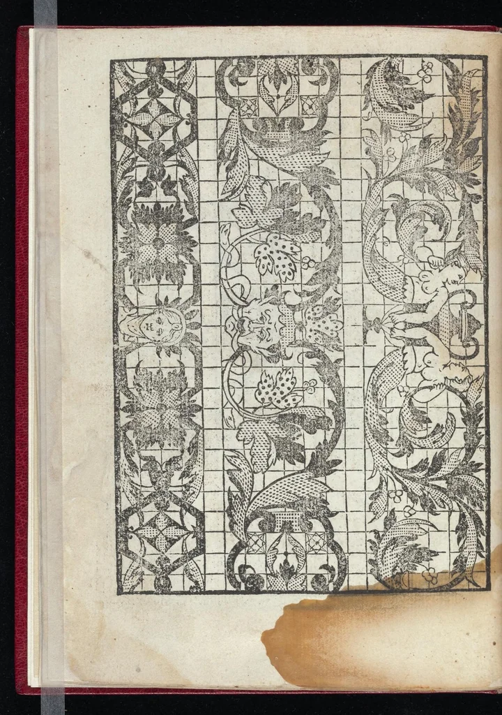 An illustration from Lvcidario di recami : nel qval si contengo molte & varie sorti di dissegni : a pvnti in aere, et pvnti tagliaci & a fogliami & con figure, & di piu altre maniere, come al presente si vsano non piu venute in luce : per leqvli ogni elevato ingegno potrà in diuersi modi commodissimamamente seruirsi, 1563, leaf 21